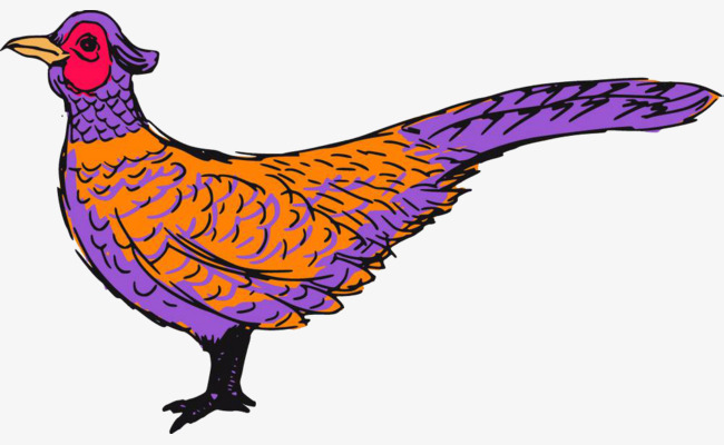 650x400 Pheasant With Long Tail, Pheasant, Poultry, Young Png Image