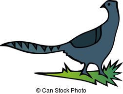 252x194 Pheasant Family Illustrations And Clip Art. 21 Pheasant Family