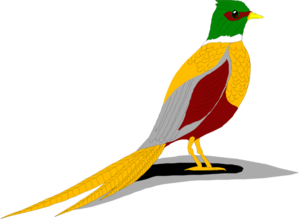 299x219 Ring Necked Pheasant Clip Art