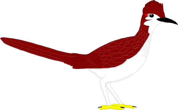 600x370 Roadrunner Animal Clip Art