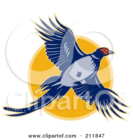 450x470 Royalty Free (Rf) Clipart Of Pheasants, Illustrations, Vector