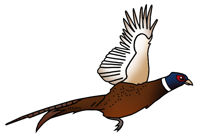 648x446 United States Clip Art By Phillip Martin, State Bird Of South