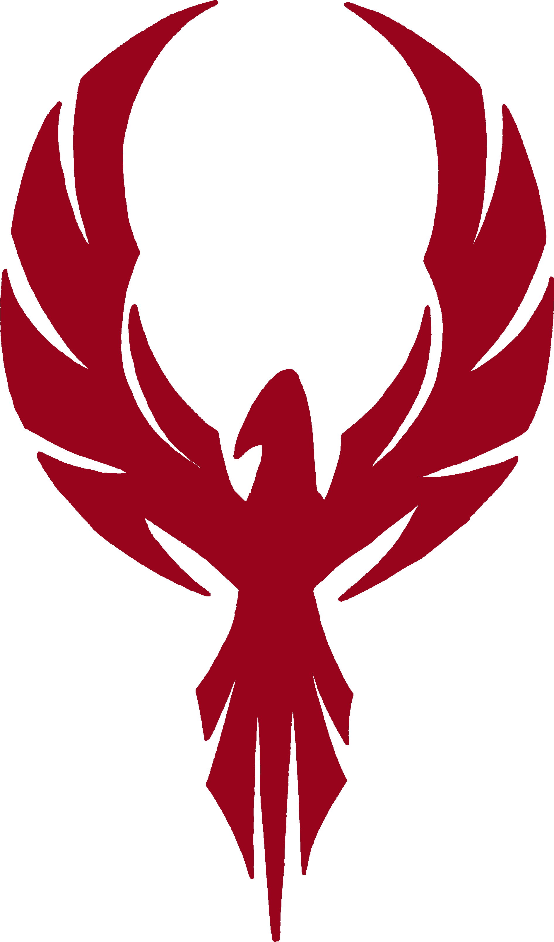 1892x3219 Tribal Phoenix