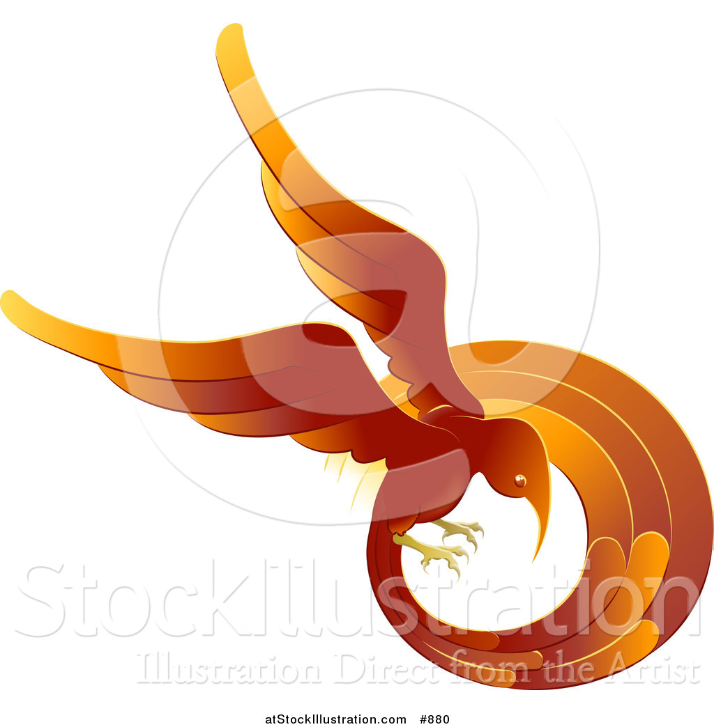 1024x1044 Vector Illustration Of A Flaming Red And Orange Phoenix Fire Bird