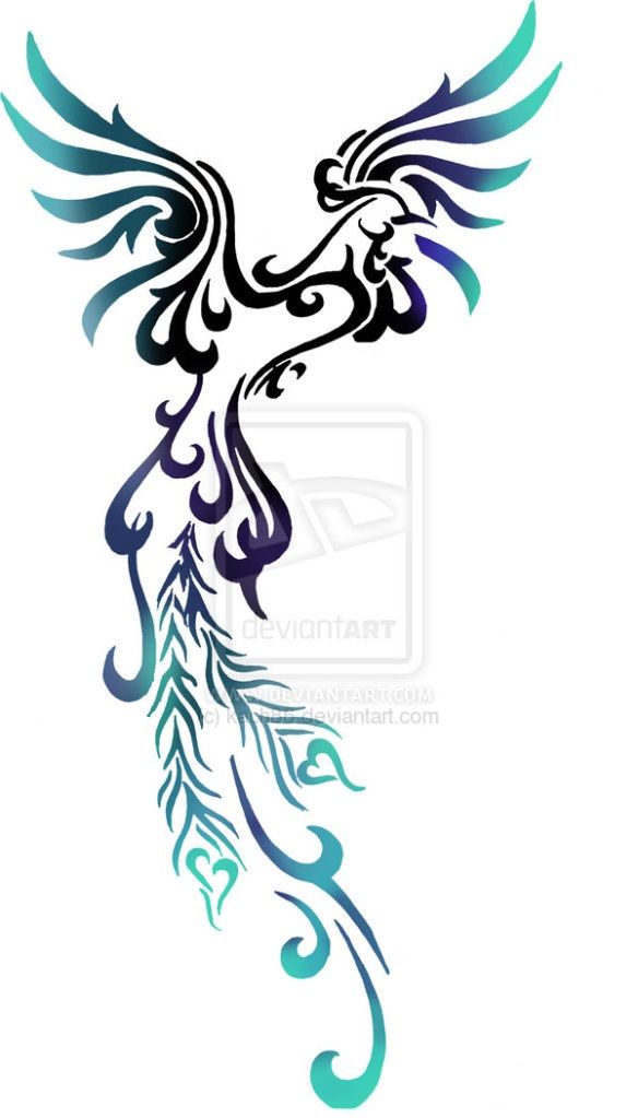 584x1023 Phoenix Tattoos Clipart Ring