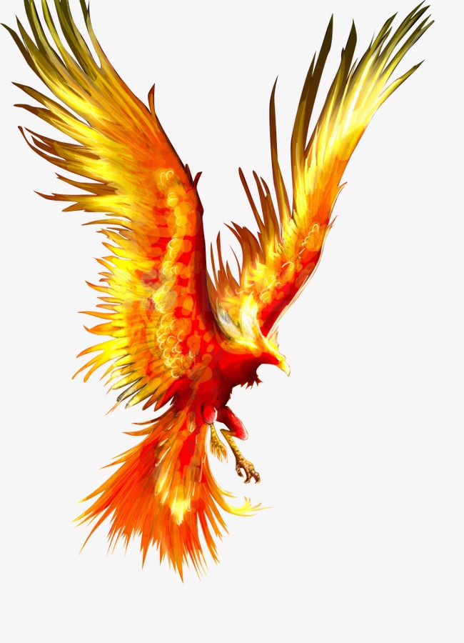 650x900 Fireworks Phoenix, Bird, Red, Animal Png Image And Clipart