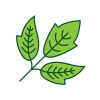 200x200 Leaf Leaves Nature Plant Plants Foliage Foliages Environment