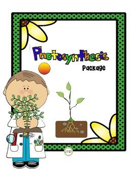 270x350 Pdf Science Printable Handout Photosynthesis Worksheets