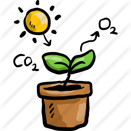 512x512 Photosynthesis