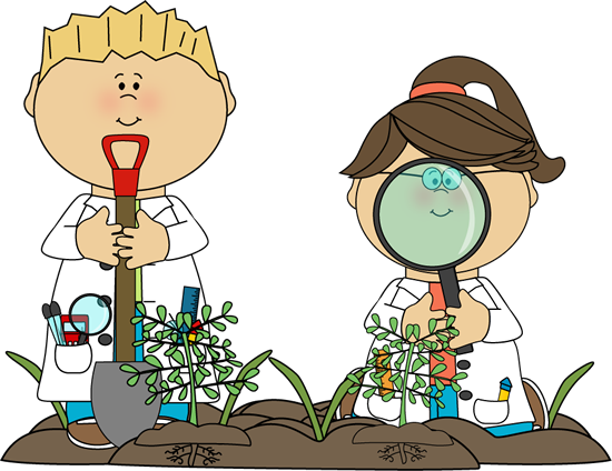 550x424 Plantas Medicinais Blog Curiosa