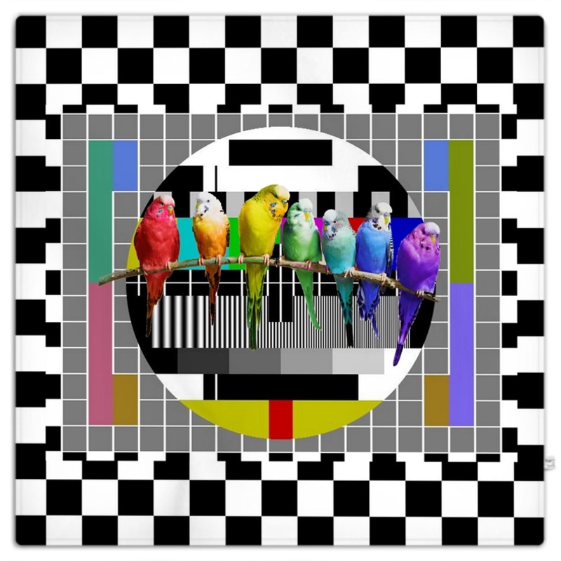800x800 Test Card And Rainbow Budgies Picnic Blanket