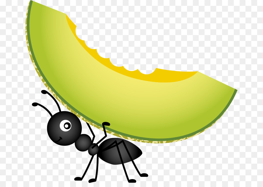 900x640 Food Picnic Stock Photography Clip Art