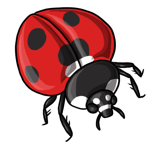 500x500 20 Free Ladybug Clip Art Drawings And Colorful Images