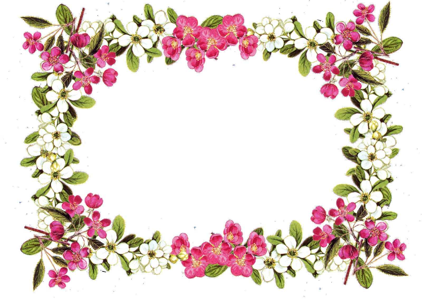 1600x1143 Free Printable Clip Art Borders Digital Flower Frame Png