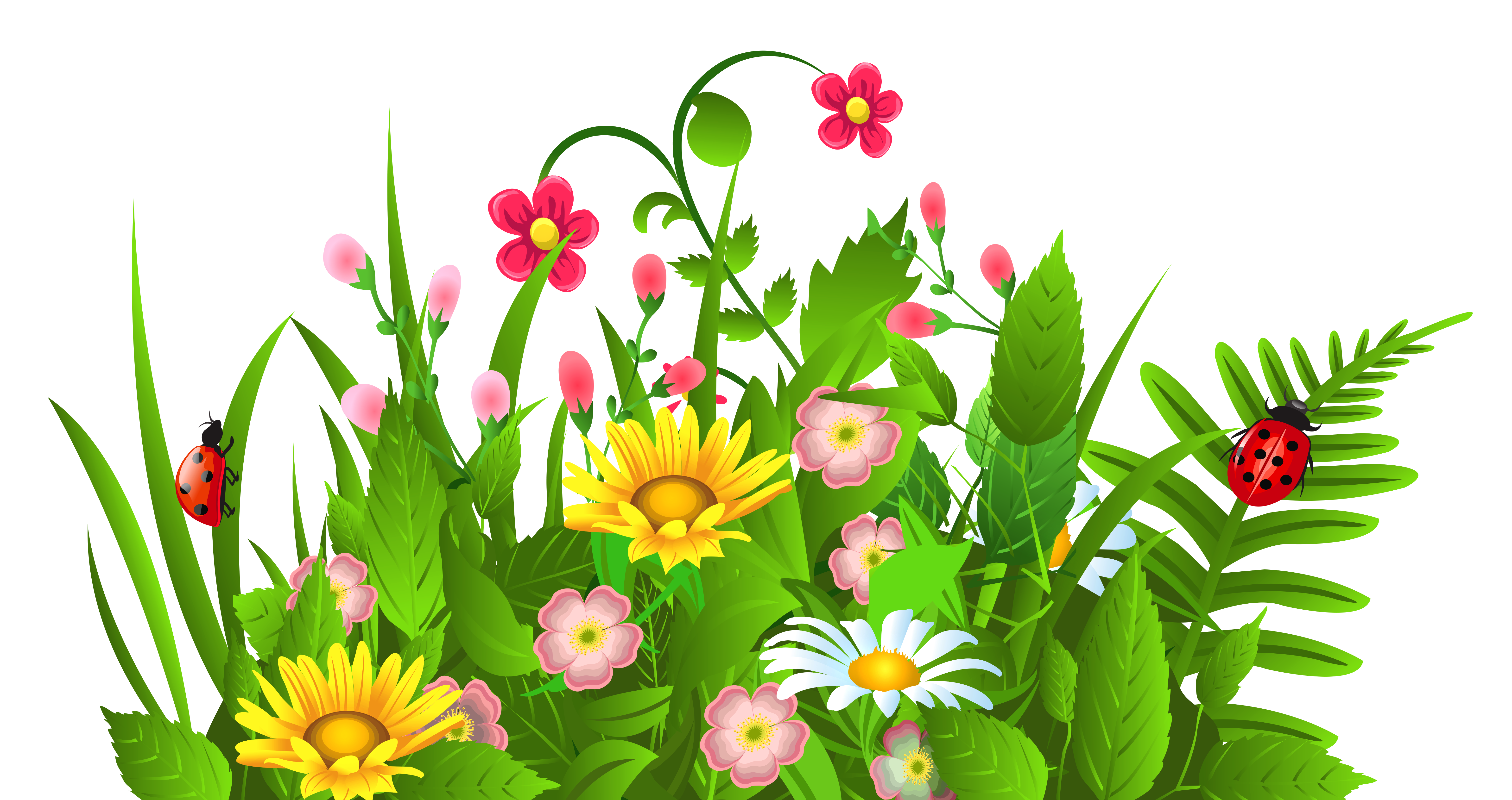 6287x3328 Free Clipart Images Of Flowers Flower Clip Art Pictures Image 1