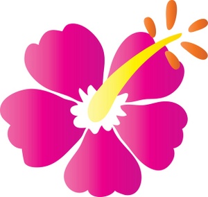 300x284 Hawaiian Flower Outline Free Download Clip Art
