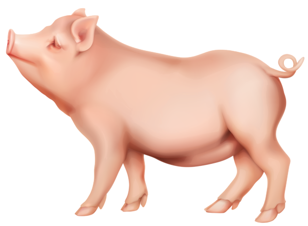 600x440 Pig Png Clip Art Imageu200b Gallery Yopriceville
