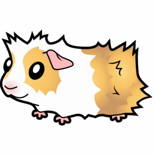 512x512 Top 89 Guinea Pig Clip Art