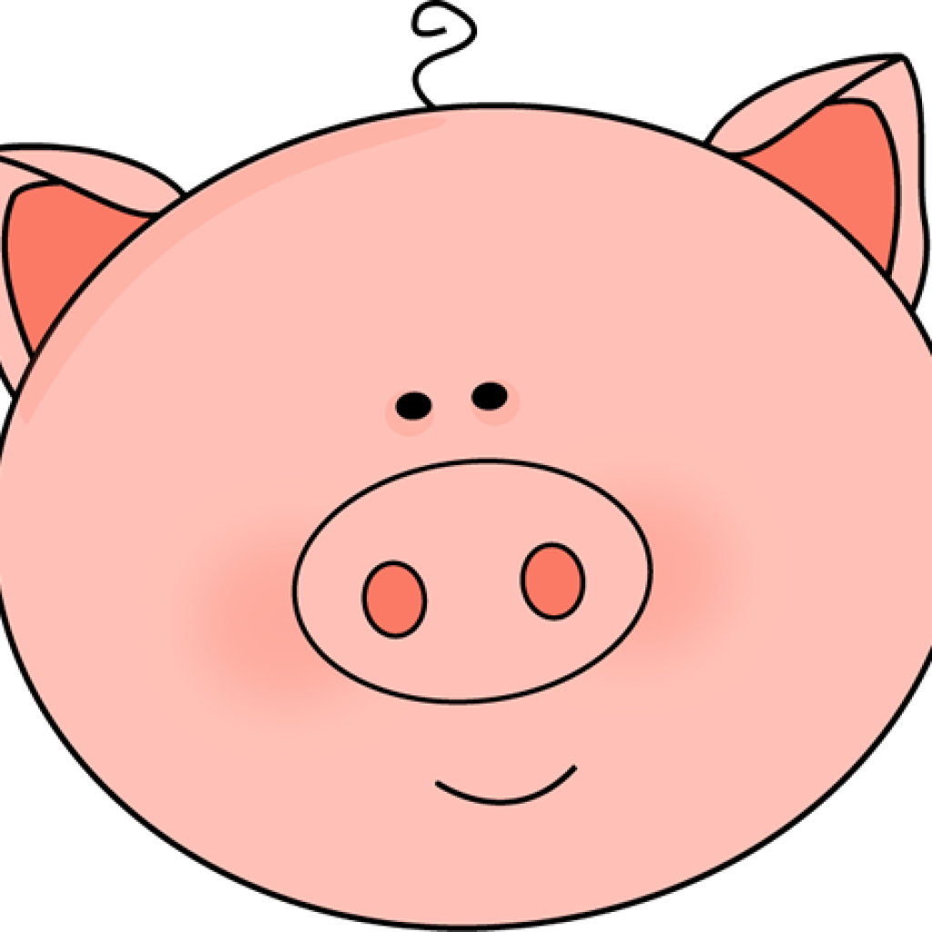 1024x1024 Pig Face Pictures Spring Clipart