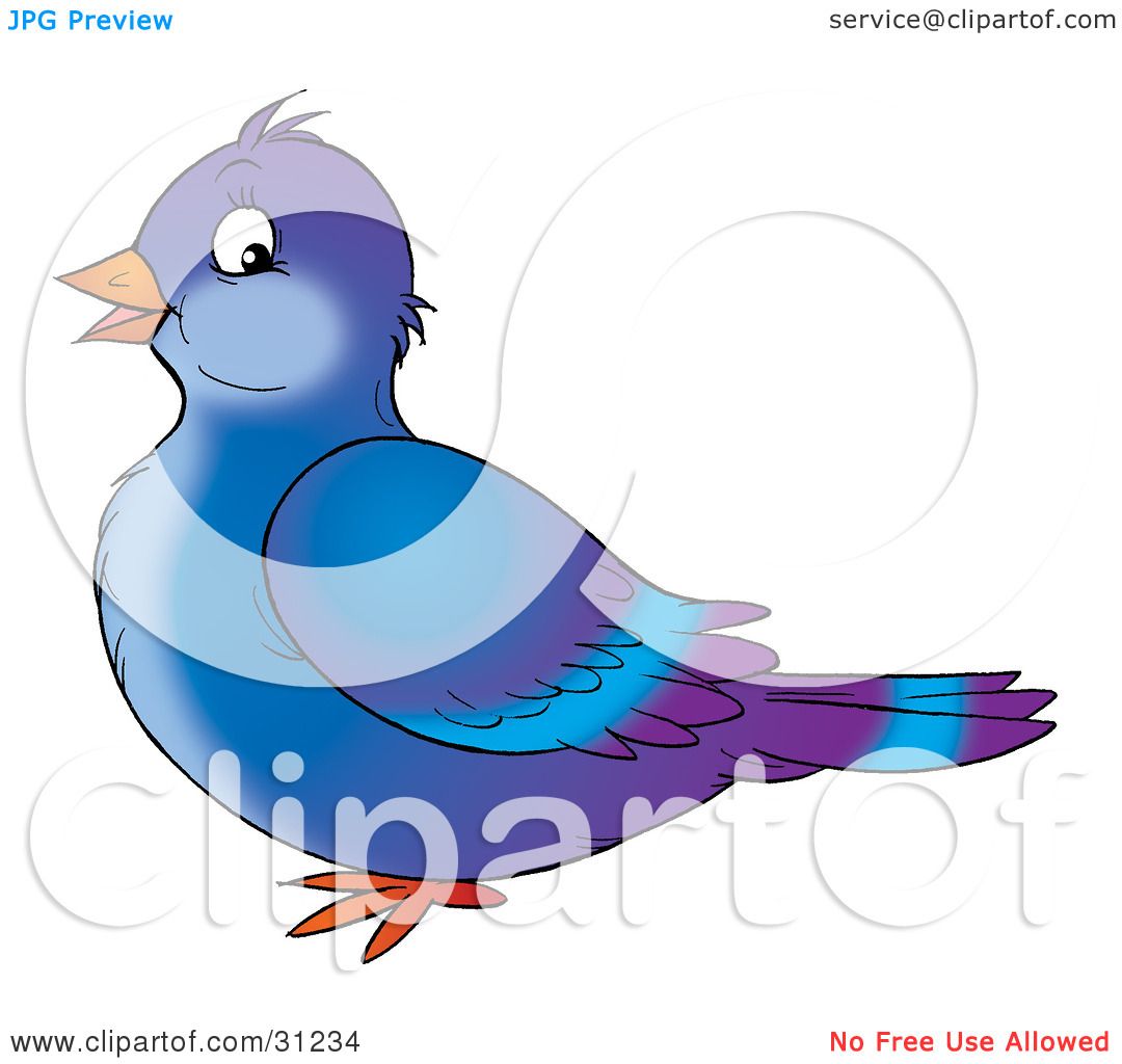 1080x1024 Clipart Illustration Of A Cute Blue And Purple Pigeon Bird