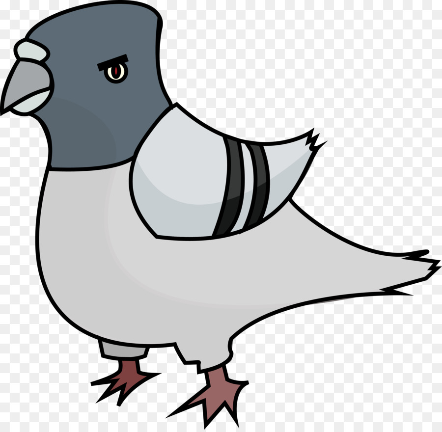 900x880 Domestic Pigeon Clip Art