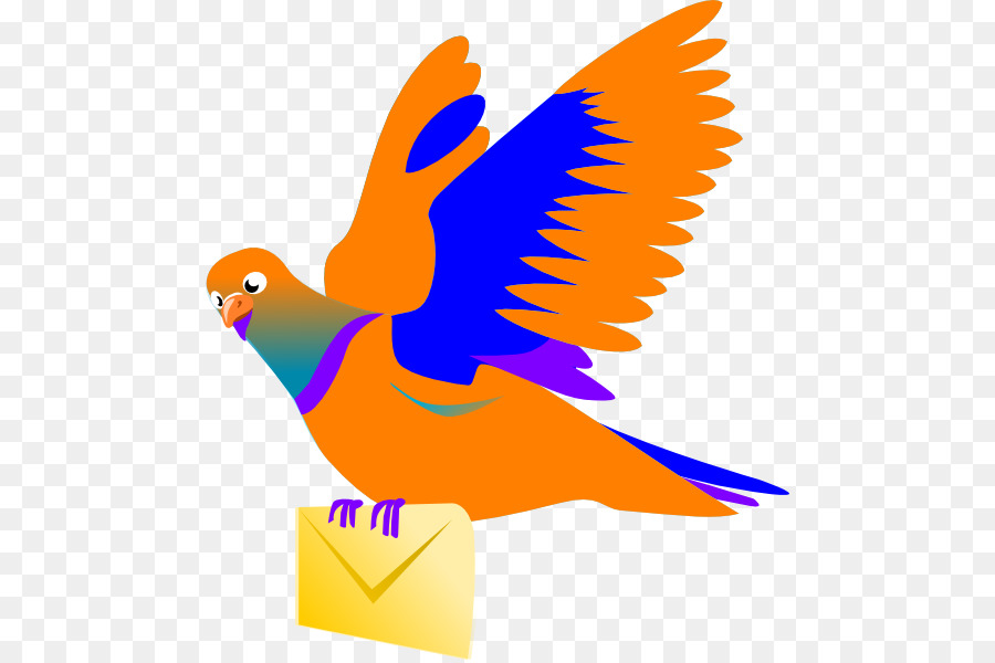 900x600 Homing Pigeon Columbidae Rock Dove Bird Clip Art