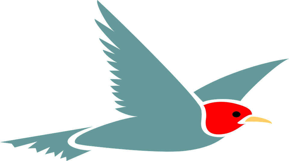 960x535 Pigeon Clipart Air Animal