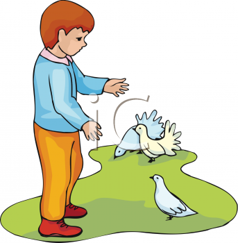 343x350 Royalty Free Pigeon Clip Art, Bird Clipart