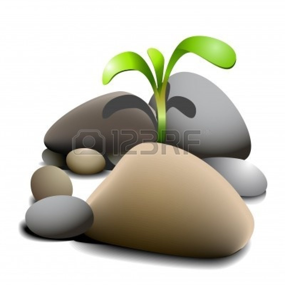 1200x1200 On Stones Leaf Clipart, Explore Pictures