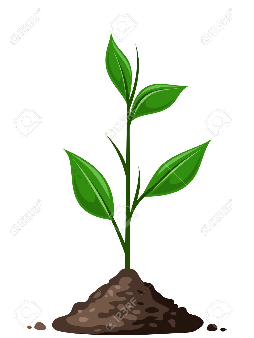 975x1300 Soil Clipart