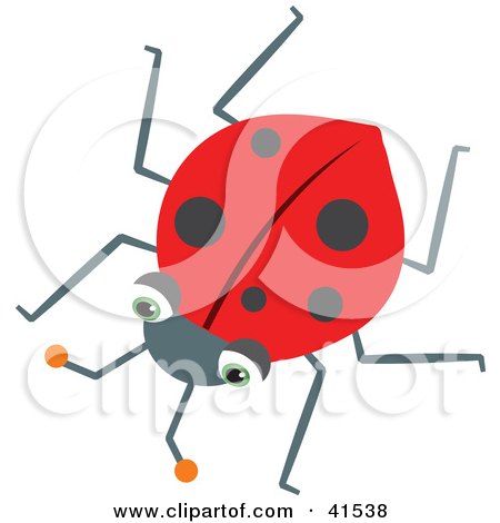 450x470 Clipart Illustration Of A Cockroach, Ladybug, Spider, Mosquito