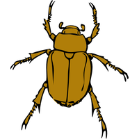 200x200 Download Bugs Free Png Photo Images And Clipart Freepngimg