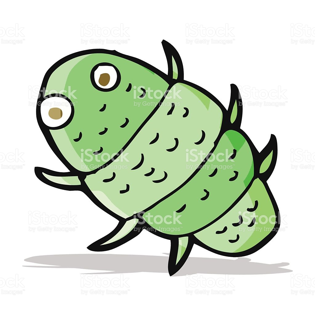 1023x1024 Mauerassel Clipart