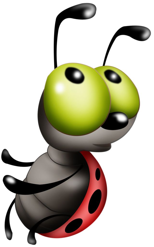 640x1024 488 Best Insects Images On Insects, Bugs And Larva Cartoon