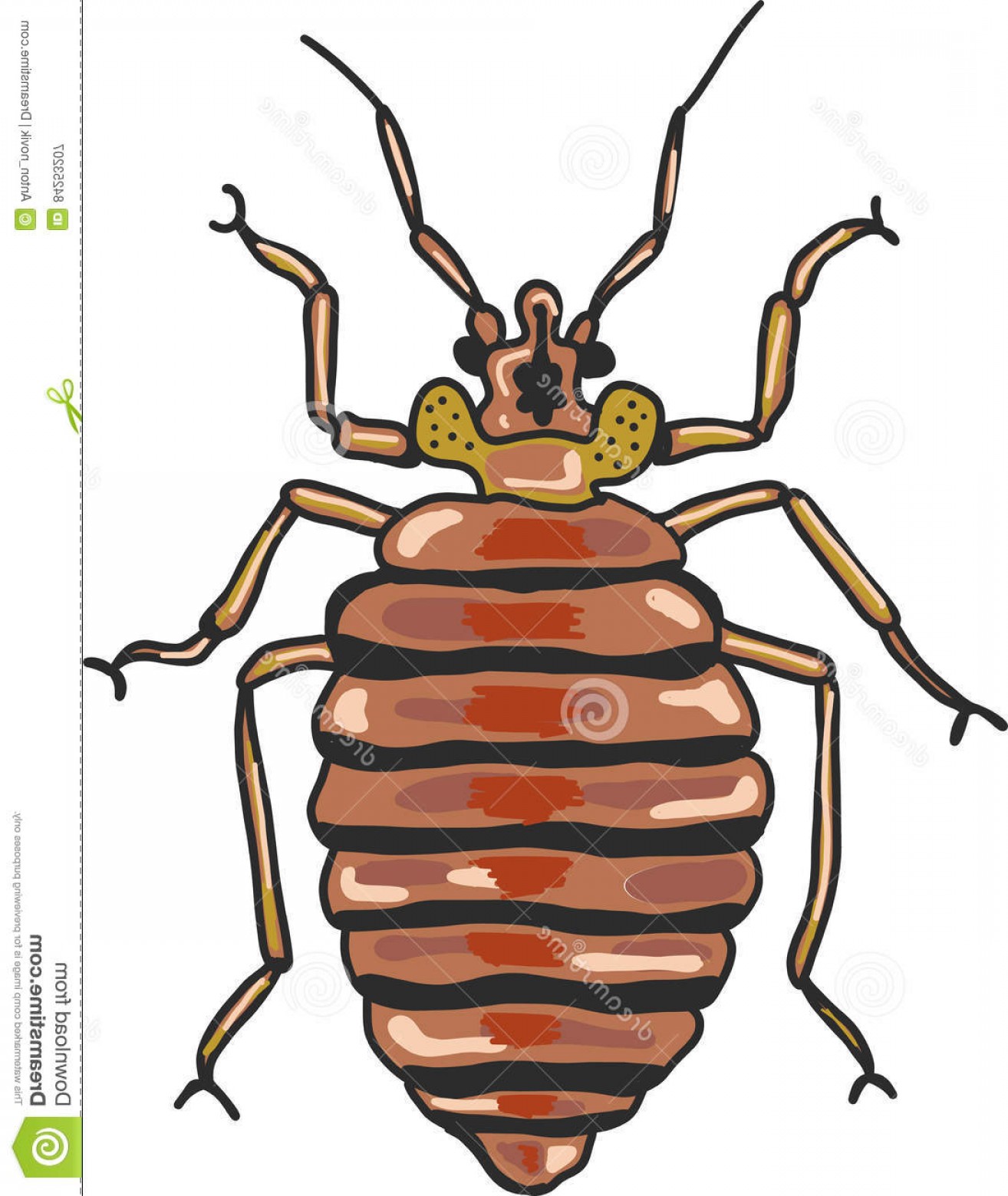 1314x1560 Stock Illustration Bed Bug Vector Clip Art Illustration Image Hand