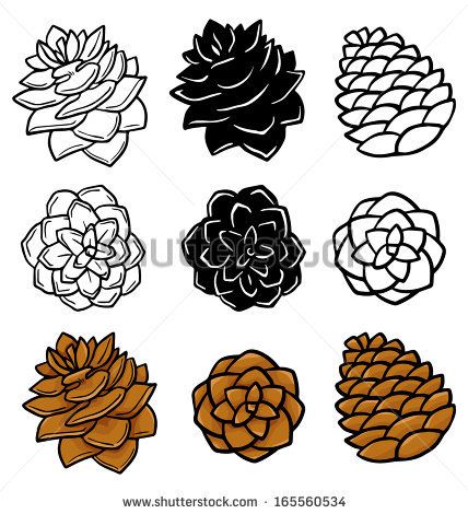 428x470 144 Best Pinecones Images On Pine Cones, Water Colors