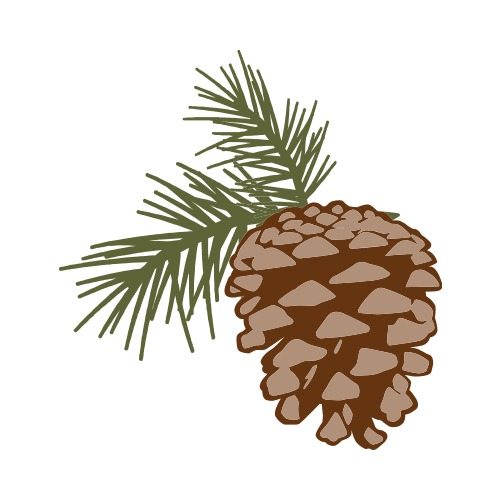 Pine Cone Clipart at GetDrawings | Free download