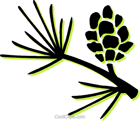 480x413 Pine Leaves And Pinecone Royalty Free Vector Clip Art Illustration