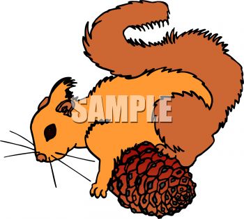 350x315 A Squirrel With A Pine Cone