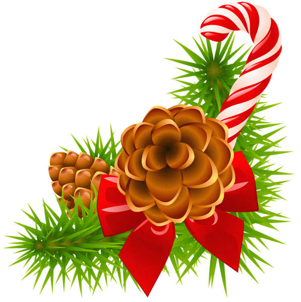 597x600 Christmas Pine Branch With Cones And Candy Cane Decor Holidays