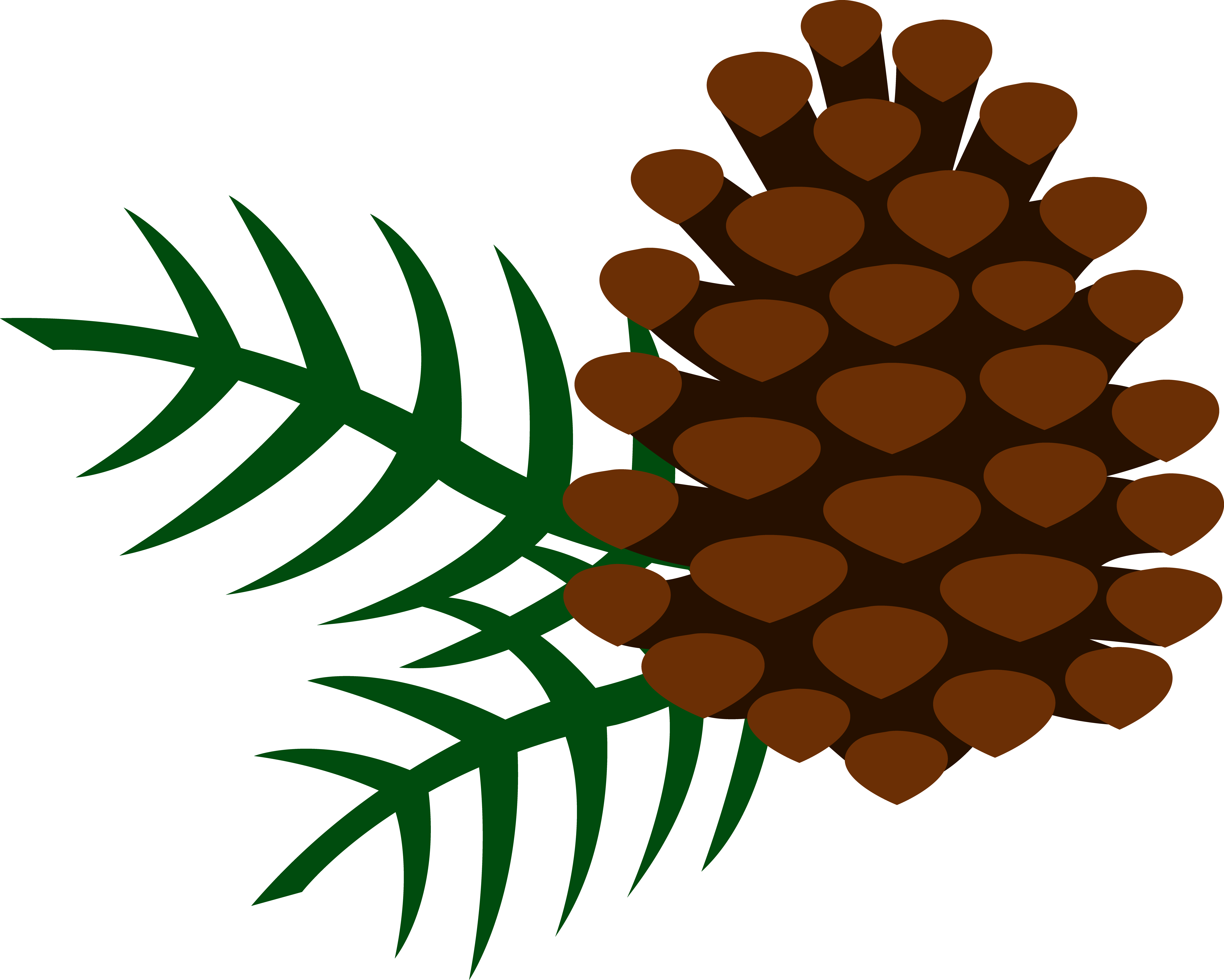 6543x5237 Pine Branch Clip Art