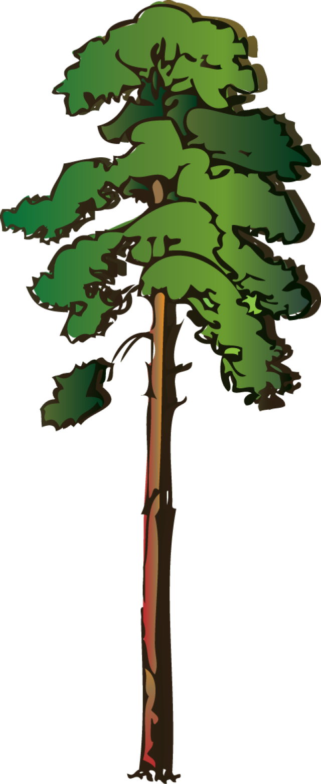 640x1565 Tall Tree Clip Art