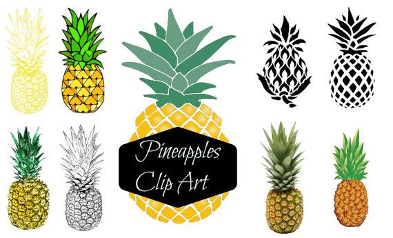 570x345 Instant Download Digital Clip Art
