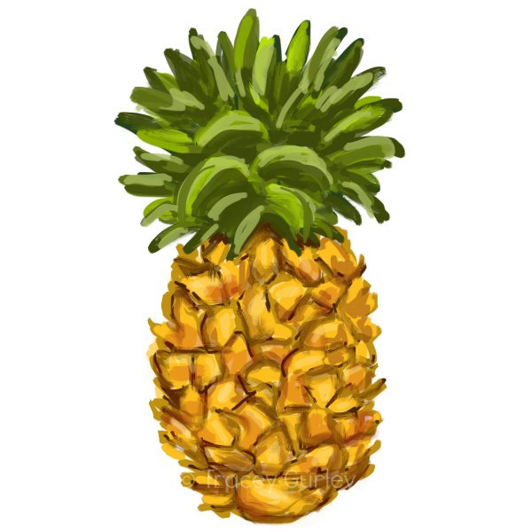 600x600 Pineapple Clip Art Free Clipart Images Clipartwiz 3