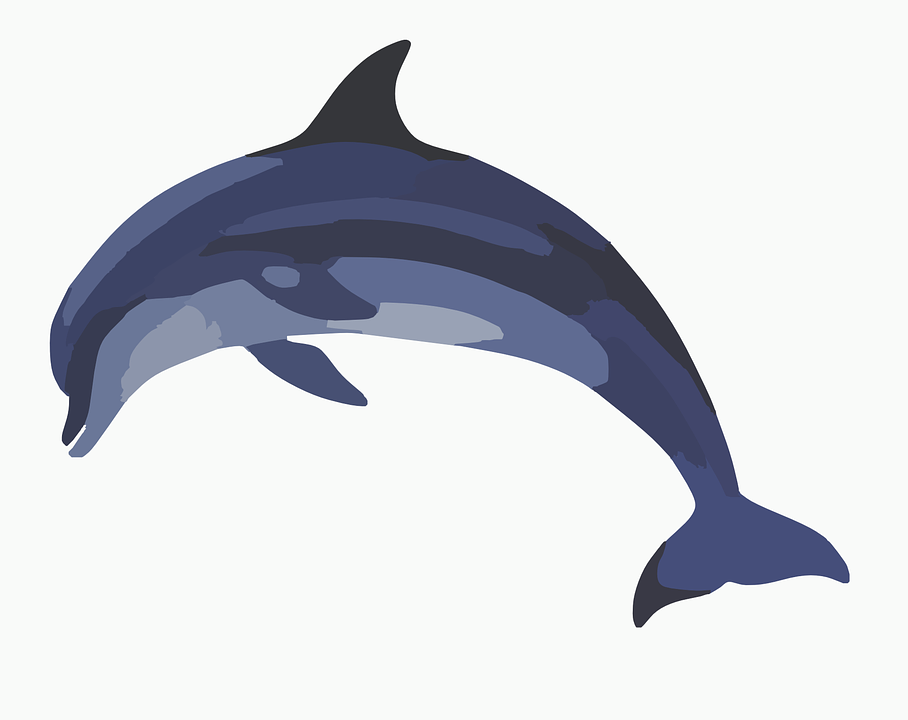 908x720 Free Vector Graphic Dolphin Mammal Animal Wildlife Clip Art