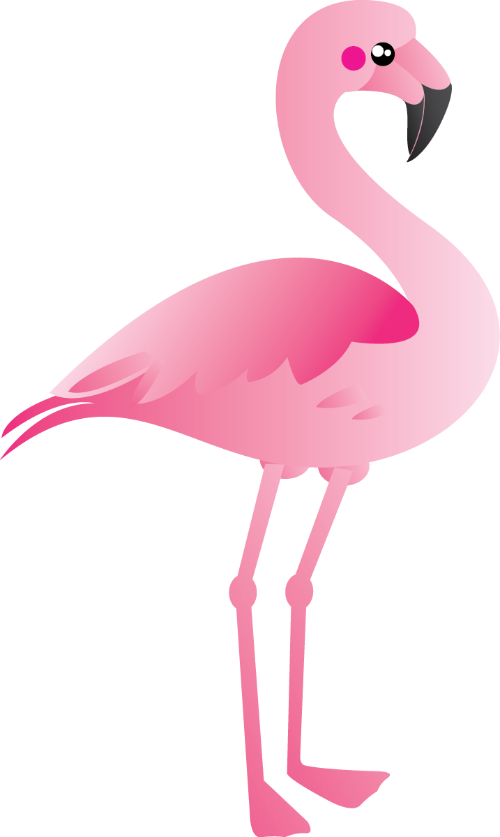 717x1199 Pink Flamingo Clip Art Illustration Of Standing On One Leg