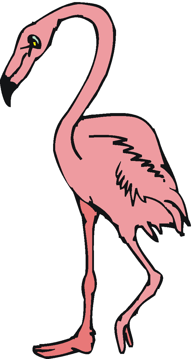 647x1200 Pink Flamingo Clipart Free