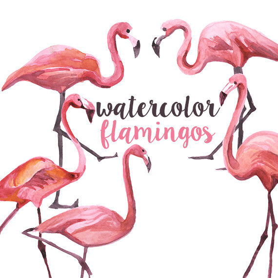570x570 Watercolor Flamingo Clipart