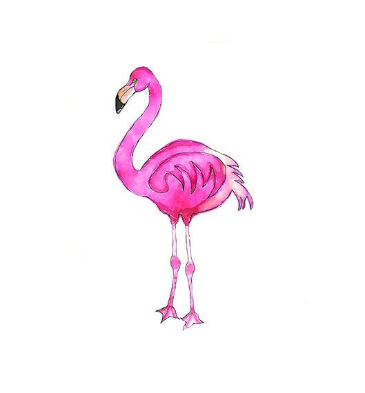 529x570 Watercolor Pink Flamingo Illustration Nursery By Digital Clip Art