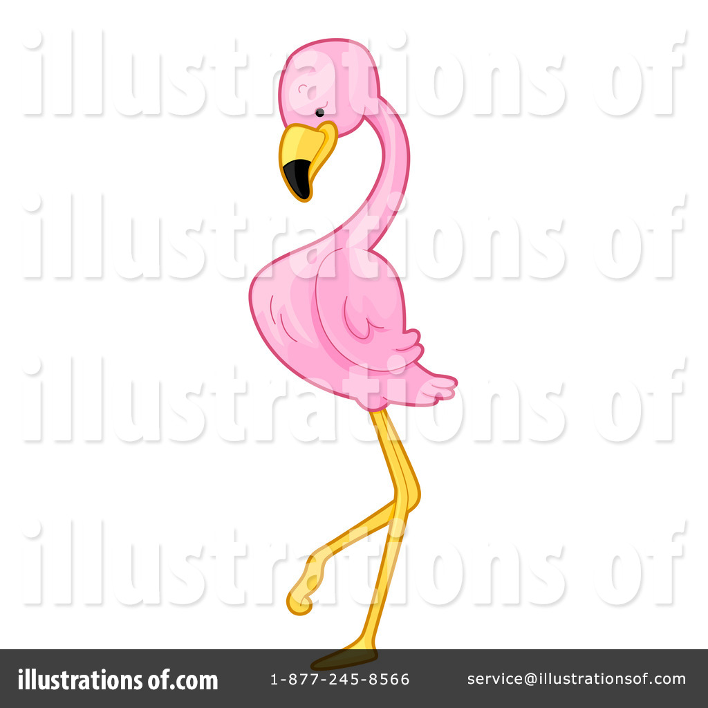 1024x1024 Flamingo Clipart
